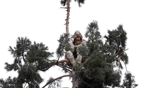 Seattle’s #ManInTree found unfit to stand trial <a href="/Man_In_Tree/">Man In Tree</a> mynorthwest.com/305882/seattle…