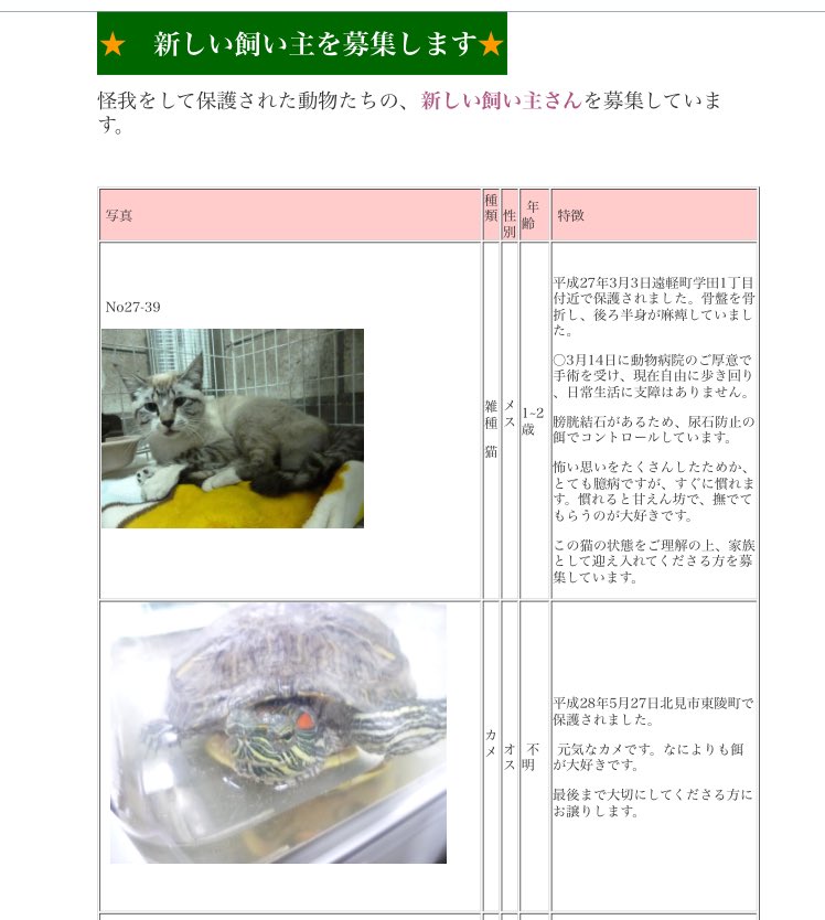 子亀 里親募集 ジモティー