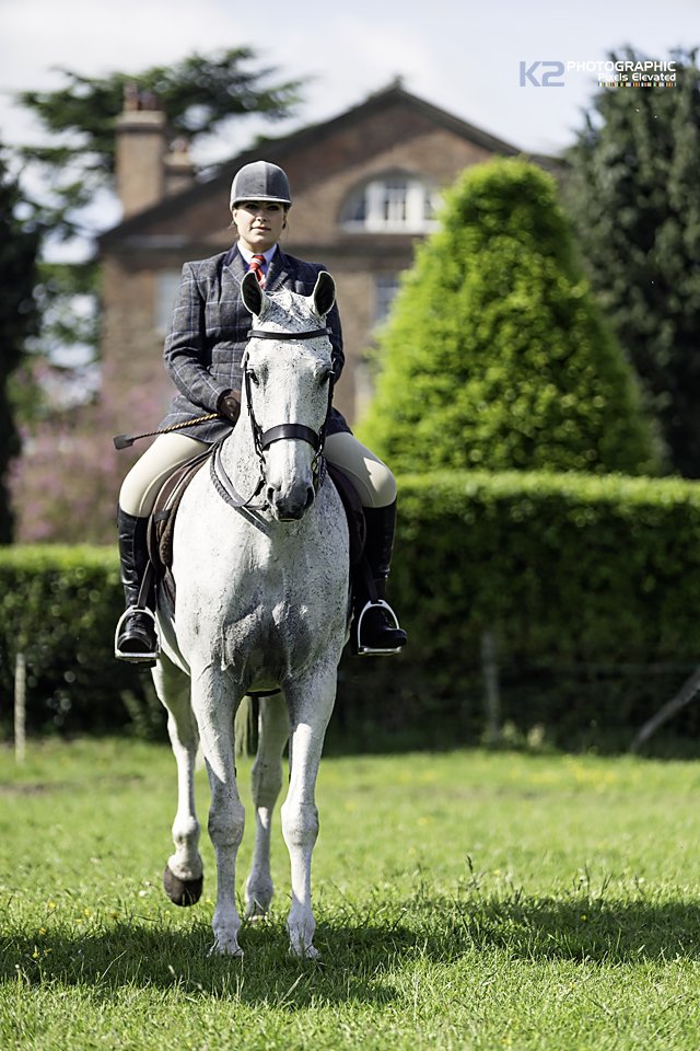 fletcherk2tog's tweet photo. Images from Sundays Hambleton Show almost indexed & ready to be uploaded.
#equine,#competition,#horses,#suregrow https://t.co/gQoxed9uyo