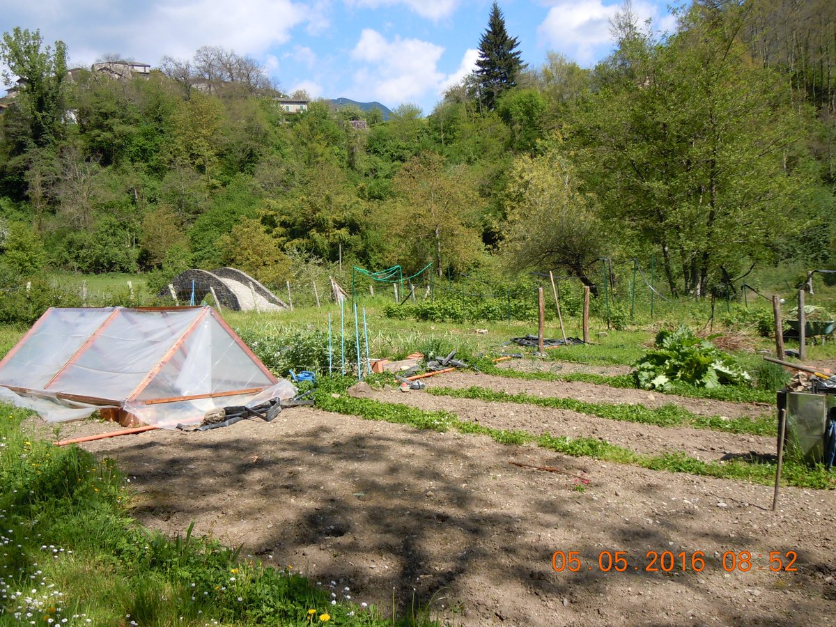 zeri_kev's tweet image. 