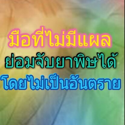 maiwp's tweet photo. ถ้าไม่จำเป็นก็ไม่จับหรอก https://t.co/uLxuDKkRUs
