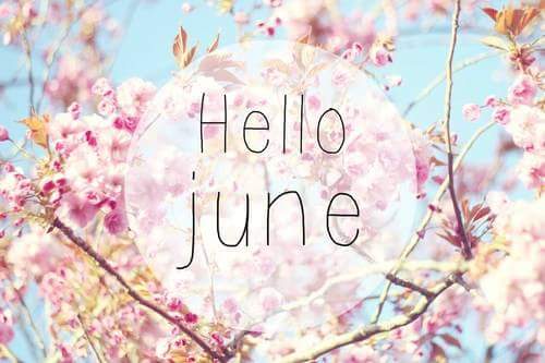 mandraatv's tweet photo. It's #June!! 30 beautiful days await us! https://t.co/ScVwwofDV2