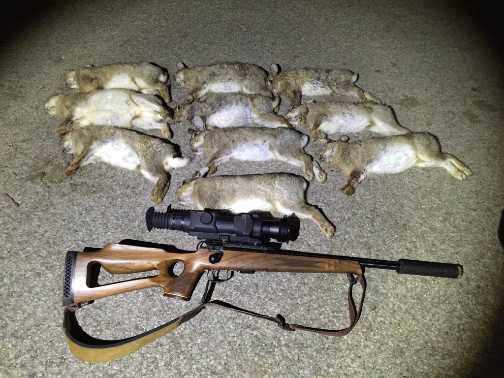 @EricZwiggelaar @Shaymanben @Wildlife_Mgr a few rabbits with the excellent Apex XD75 from <a href="/Scott_Country/">Scott Country</a> 👍