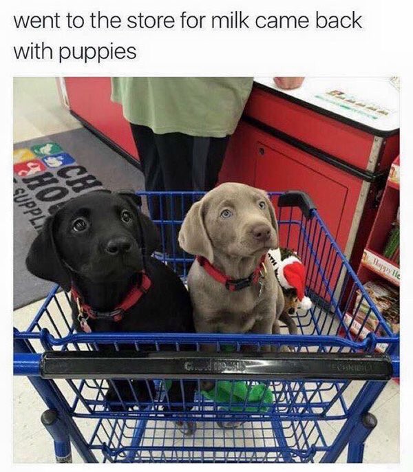 ___Devo___'s tweet image. This is some shit I would do multiple times 😂