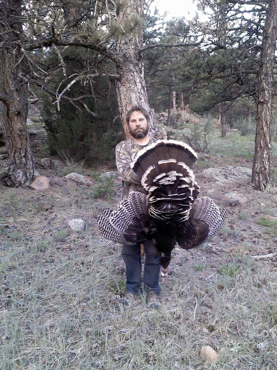 field_bread's tweet image. The last day of Spring Turkey Season, 2013 fieldbread.com/the-last-day-o…