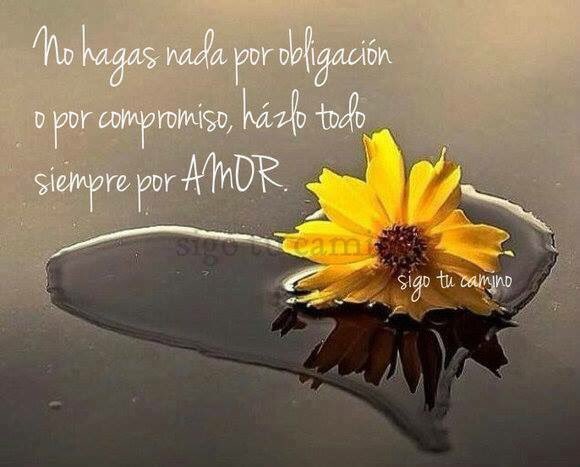 Libroelpoder's tweet photo. https://t.co/EbxVMAkWc1