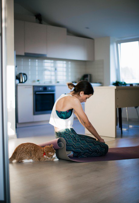 Llamasvalley's tweet photo. How to start exercising at home: https://t.co/875bTkfk1z https://t.co/yLkERbWWdd