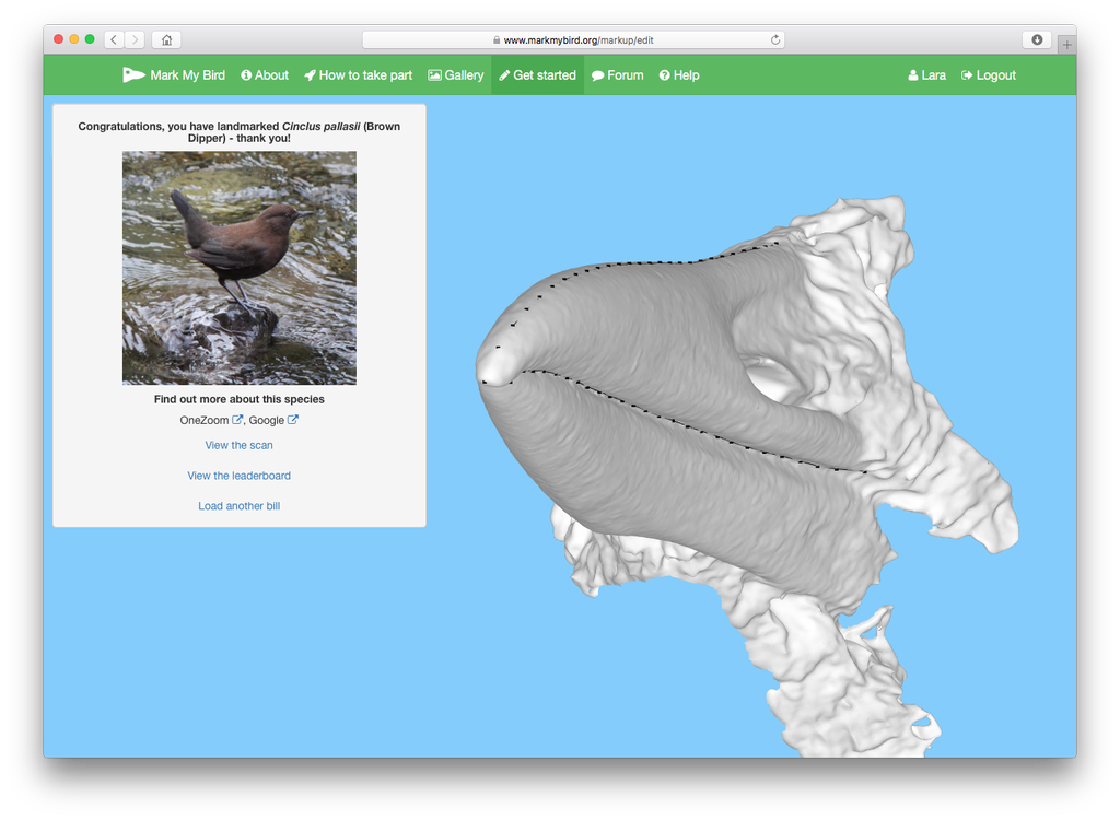 MacrobirdEvol's tweet photo. Have you had a go yet? Here's one we did earlier. Just hit "Get started"! https://t.co/QRIdRyc9bD #MMBathon https://t.co/gCJD2Gd0cL