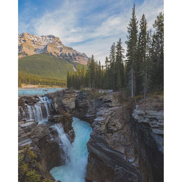 Athabasca Falls by <a href="/stephenvalido/">Stephen Valido</a>... 
bit.ly/20T1BVL