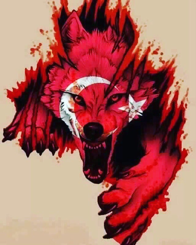 Ozan şeddeli (@seddeliozan) on Twitter photo 