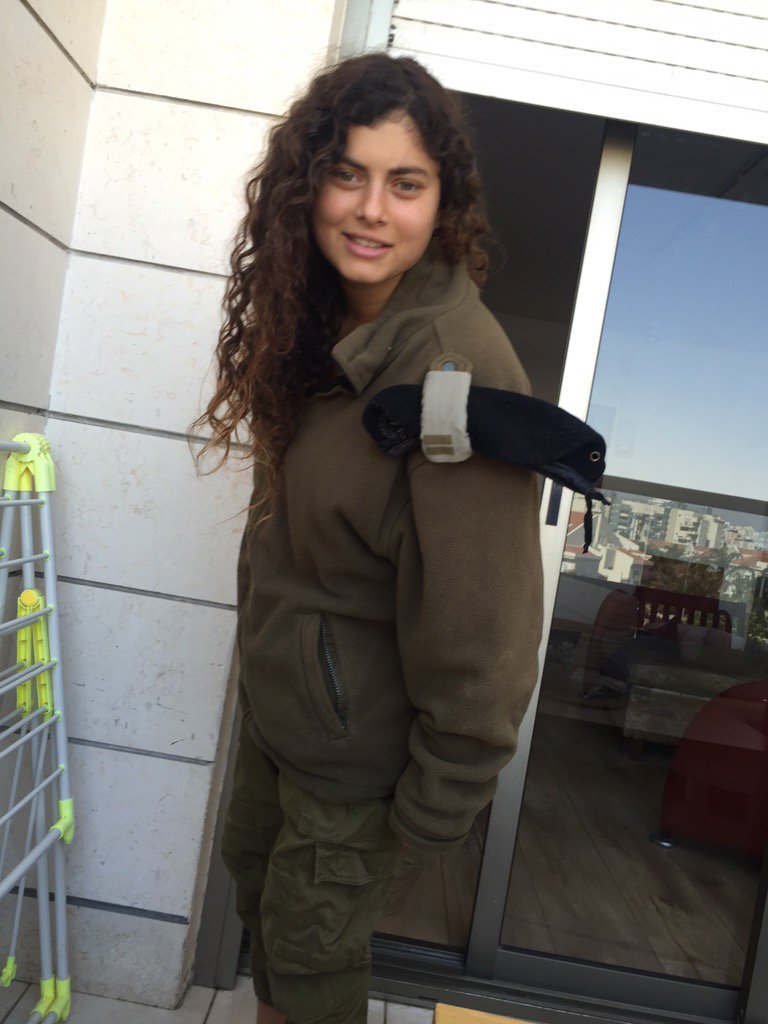 tallevy1230's tweet photo. שצ https://t.co/1DYIyVQw6Z