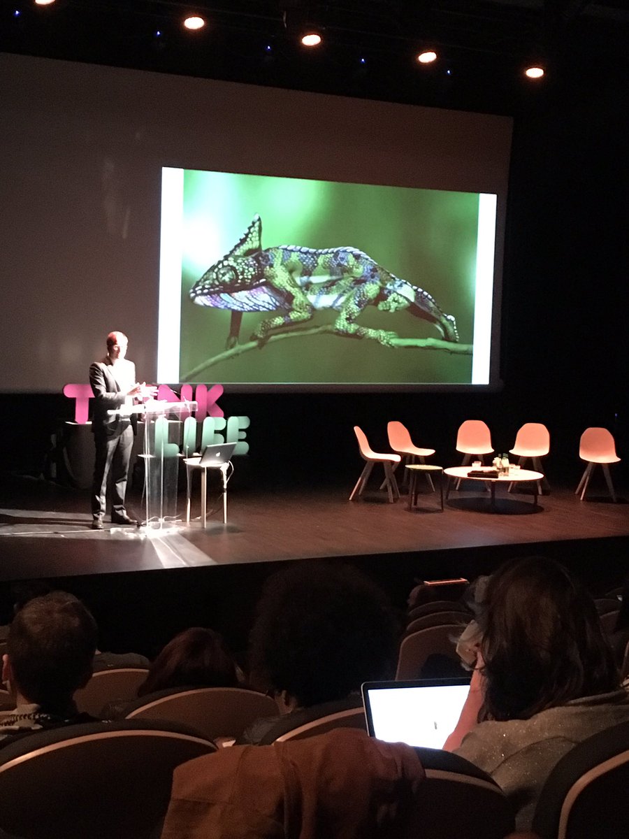 Mathilde THIAO tweet media
