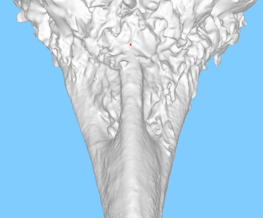 MacrobirdEvol's tweet photo. 3 - Top midline - back of the top mandible, place point where bill ends and feathers start #MMBathon https://t.co/NwBvfrp0qn