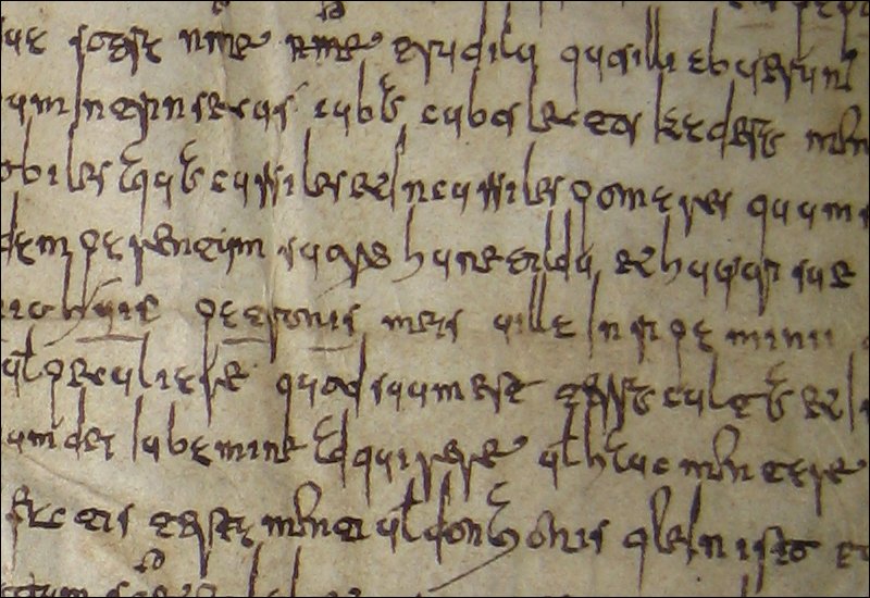 ainoa_castro's tweet photo. Always nice to discuss: Writing in cursive and minuscule #Visigothic script #polygraphism https://t.co/X4ekylSv31 https://t.co/kN5b5TYH3F