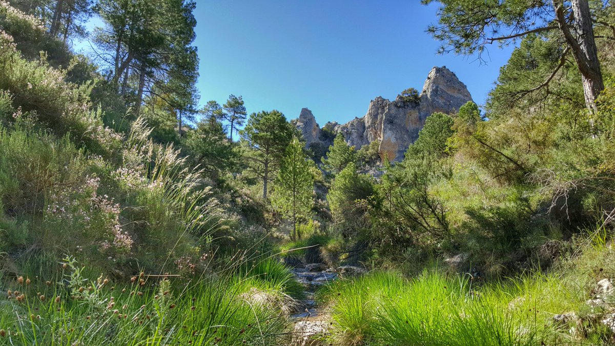 jalesp's tweet photo. Barranco de Cantalar, en la Sierra de Villafuerte de #Moratalla https://t.co/kVPpgvSOxp