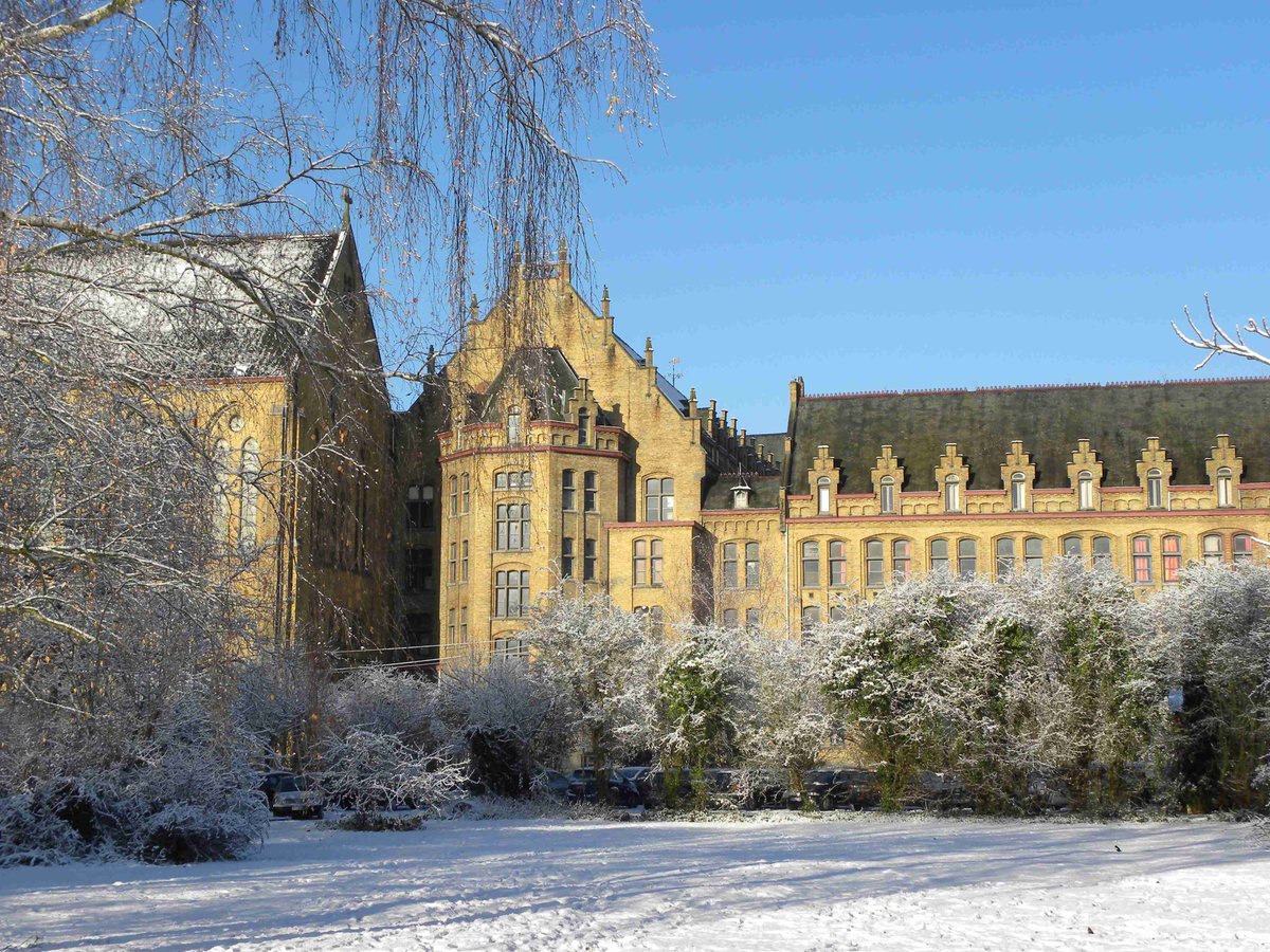 Arthur Good-Luck tweet media