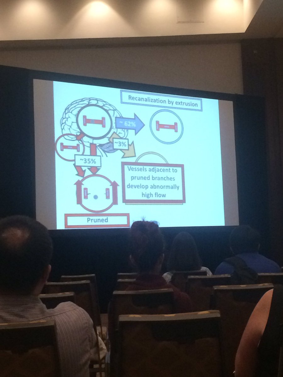 A_D_Wright's tweet photo. The fate of micro-vessel occlusions: 62% washed out, 3% angiophagy, balance undergo vessel pruning @CAN_ACN #CAN16 https://t.co/H7fuHxleTu