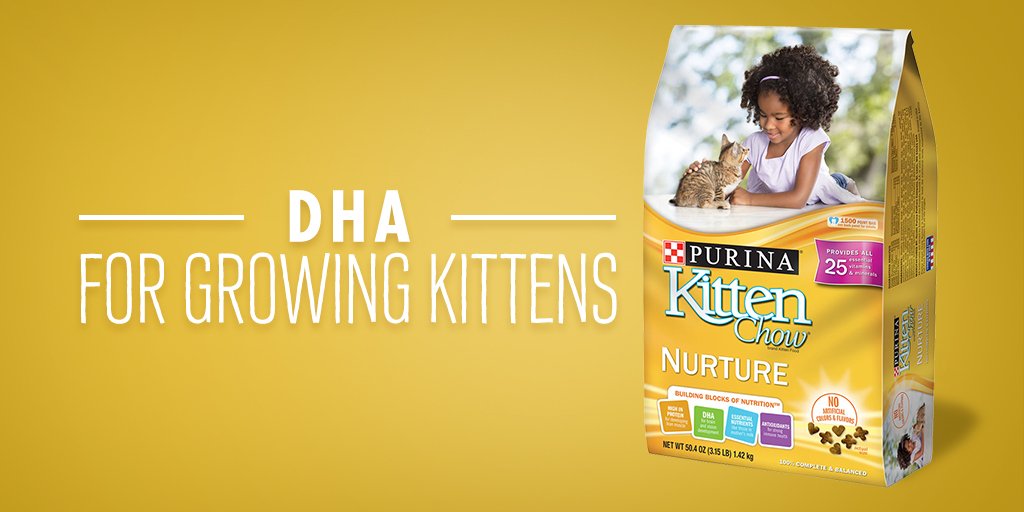 PurinaCatChow's tweet photo. Give your kitten the best start and the building blocks of nutrition with Kitten Chow. https://t.co/DvYiecQmrY https://t.co/JZQHrrcDsp
