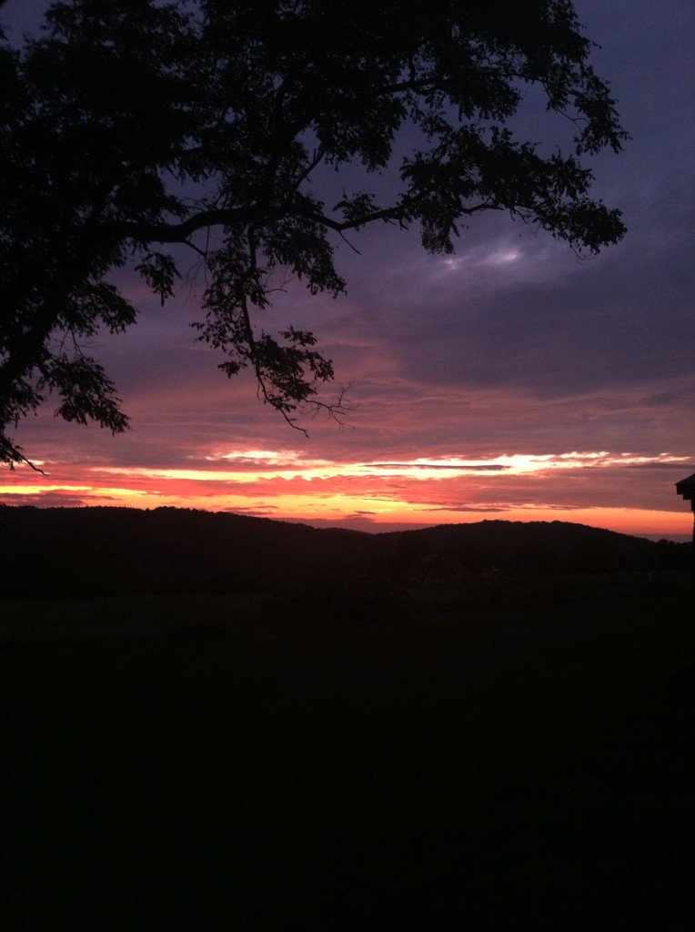 r_agneta's tweet photo. @BindiIrwin I took this one last night in upstate New York 😊 https://t.co/UTexkKJvr7