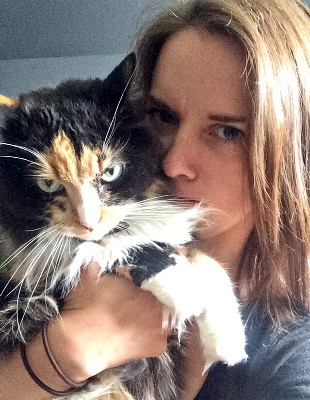melnaniec's tweet photo. in other news, twinning! #mygrumpycat #academicswithcats https://t.co/Uy92sR6Ysm