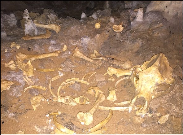 regcantabrorum's tweet photo. La Cueva/Museo de Sopeña #Miera vuelva a abrir sus puertas de cara al verano #Paleolitico :) https://t.co/QHfnAcrFsD https://t.co/HSxZ4s6IYR