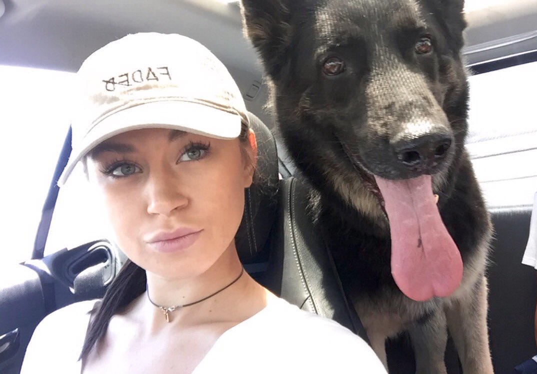 Adventures with the baby! Lucius is pumped for dtlv & a hike later. #germanshepherd https://t.co/OT6Bc7pxzW