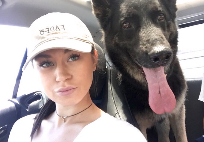 Adventures with the baby! Lucius is pumped for dtlv &amp; a hike later. #germanshepherd https://t.co/OT6<a href="/tag/germanshepherd"class="tags"><span>#germanshepherd</span></a>
