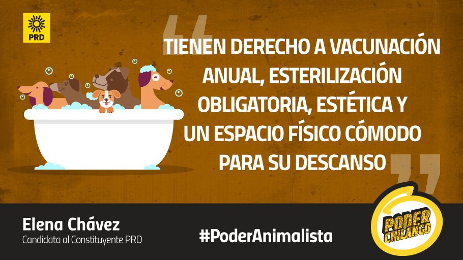 PoderAnimalista's tweet photo. El #PRD propone crear servicios médicos gratuitos especializados para los animales #VotaPRD #ConstituyenteCDMX https://t.co/aUttJ7I7Pl