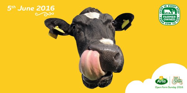 Learn more about milk and dairy by visiting an Arla farm on <a href="/OpenFarmSunday/">OpenFarmSunday</a>! #WorldMilkDay #SupportArlaFarmers