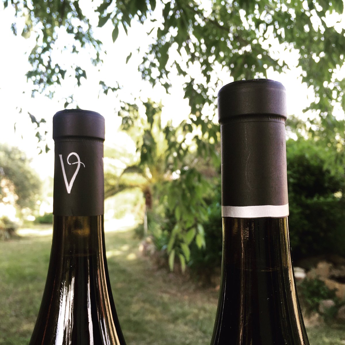 LaVivarelle's tweet photo. Battle de capsules #packaging #womendowine #MadameRêve #Bazeloup #microcuvees #madebyhand @VinsPaysdOcIGP https://t.co/dLyz2wpctz
