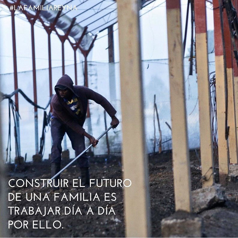 Caribbean Cinemas RD tweet media