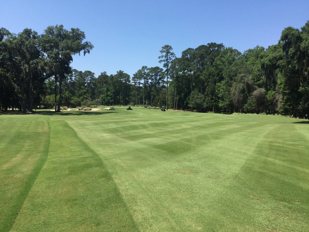 Belfair West (west_belfair) Twitter