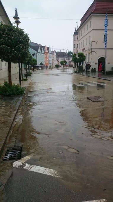 Bild auf Twitter anzeigen