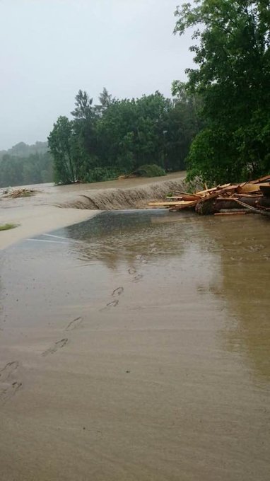 Bild auf Twitter anzeigen