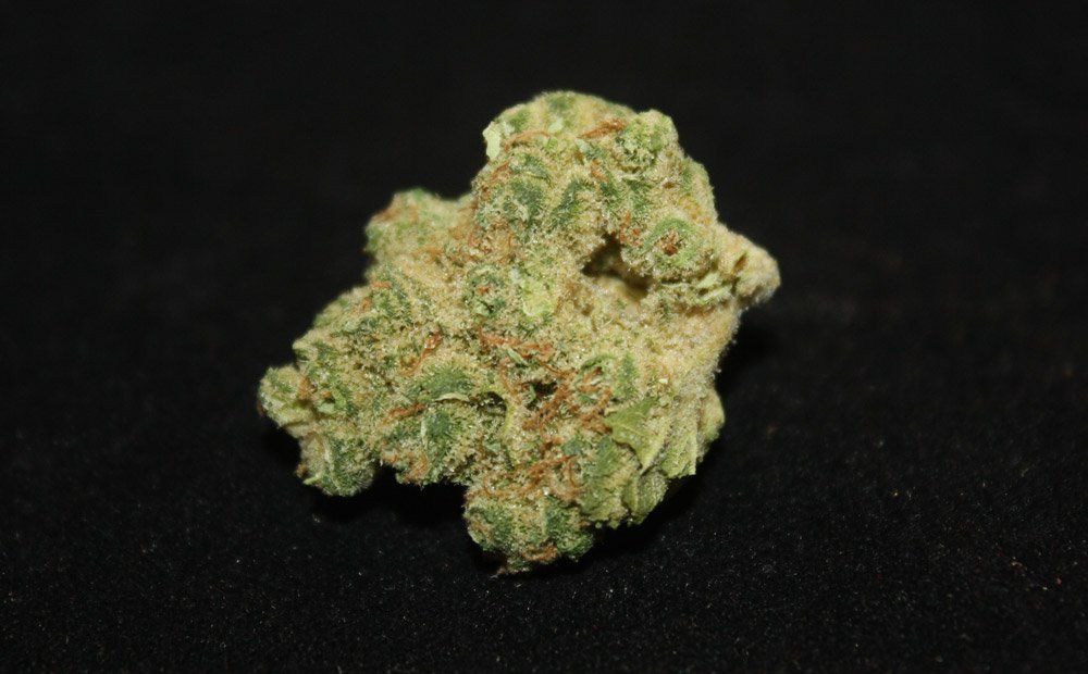 #BlueDream, anyone? #GMCMelrose