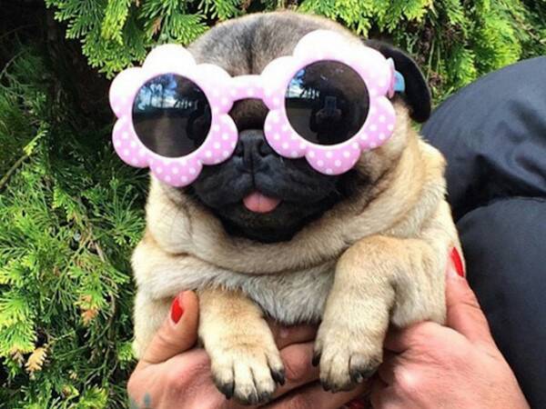 YardstickNick's tweet photo. This weather got me like https://t.co/U1vvPA33nB