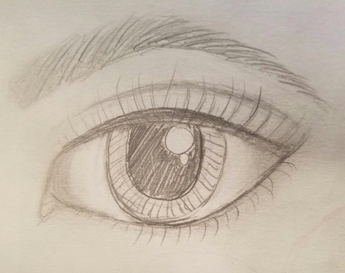 BodyLavish's tweet photo. A quick #sketch to show a client her #future. #waxbrows #fleek #PalmSprings #PalmDesert https://t.co/Zq4a3h6UCv