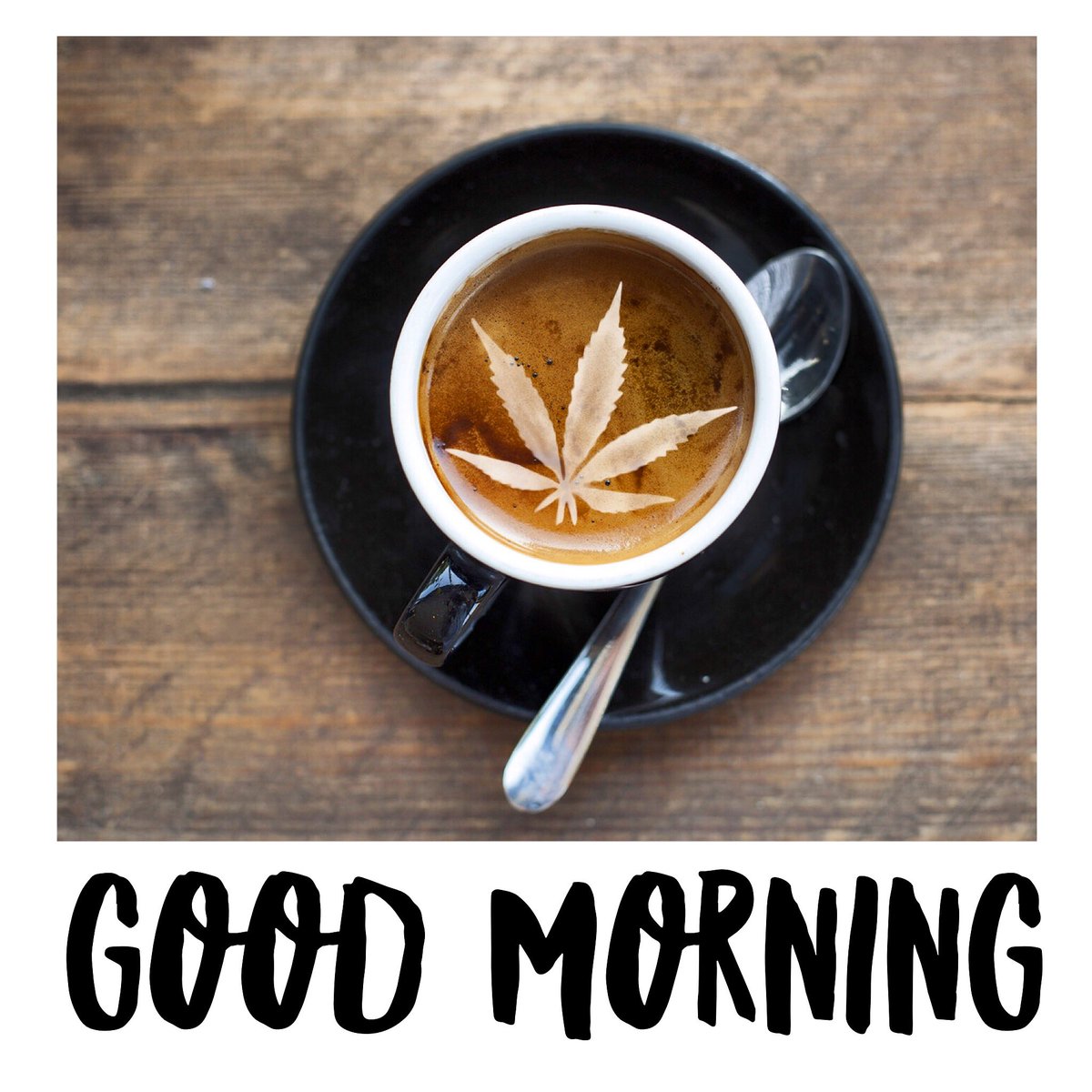 GreenGuide411's tweet image. We start our mornings with some coffee and catching up on the newest MMJ News threw our FREE APP✅ #Cannabis