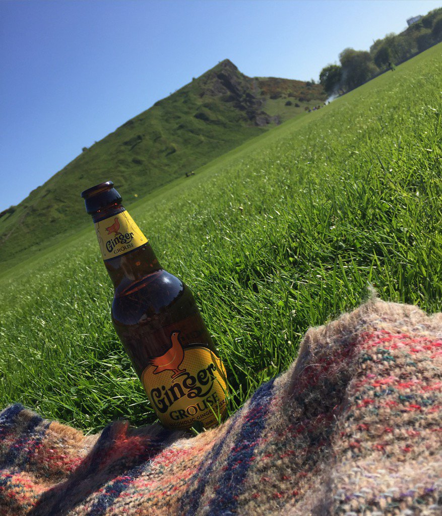jenjenallan's tweet photo. Finally out enjoying some sunshine! #sunshine #edinburgh #holyroodpark #salisburycrags #gingergrouse #blueskies https://t.co/kJOpeLMwfi