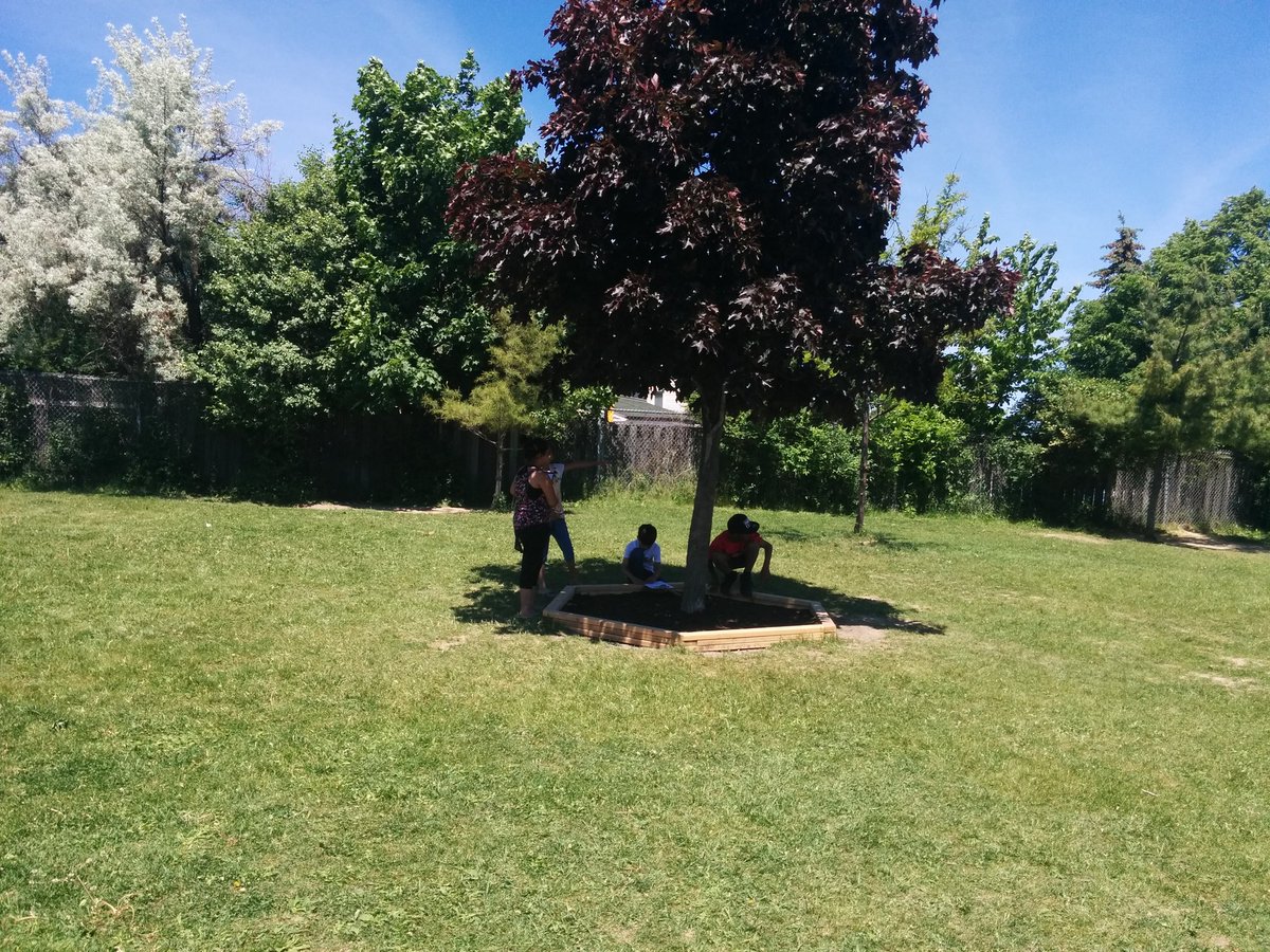 Briana Simpson tweet media