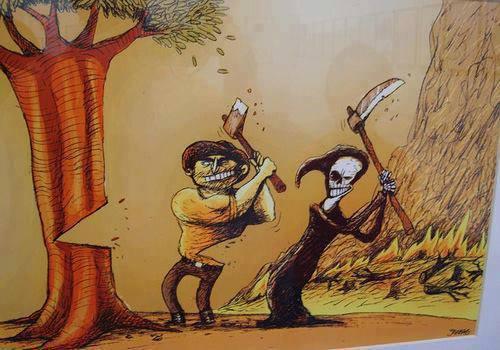 Ecogranjero's tweet photo. cortar un árbol es cortar uno de nuestros principales sustentos de vida https://t.co/B7bRikOuCQ