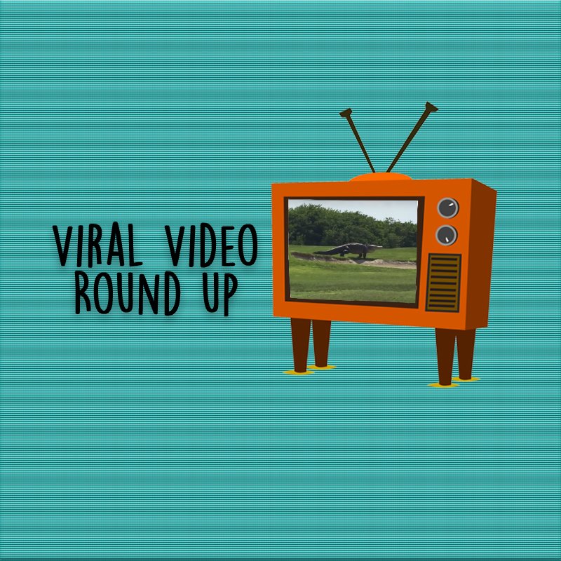 If you love being the first to know about viral videos, this app is for you bit.ly/1XPDw2Q