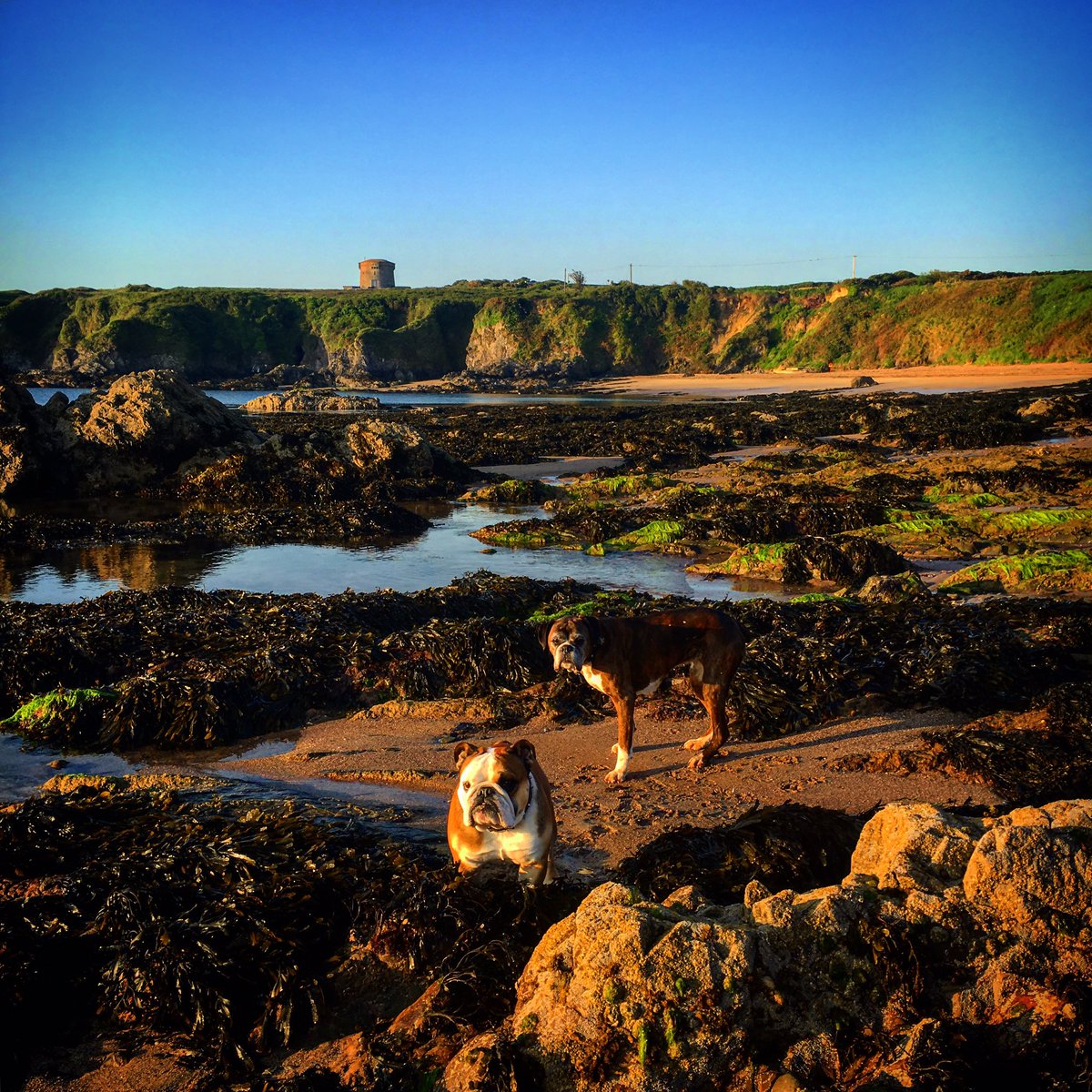 rosmhictreoin's tweet photo. #guidinglight #fellowshipoftheringofhook #SocialMediaMarketing #pr #touristdevelopment #WildAtlanticWay #inurpocket https://t.co/yXDP2gRwUz