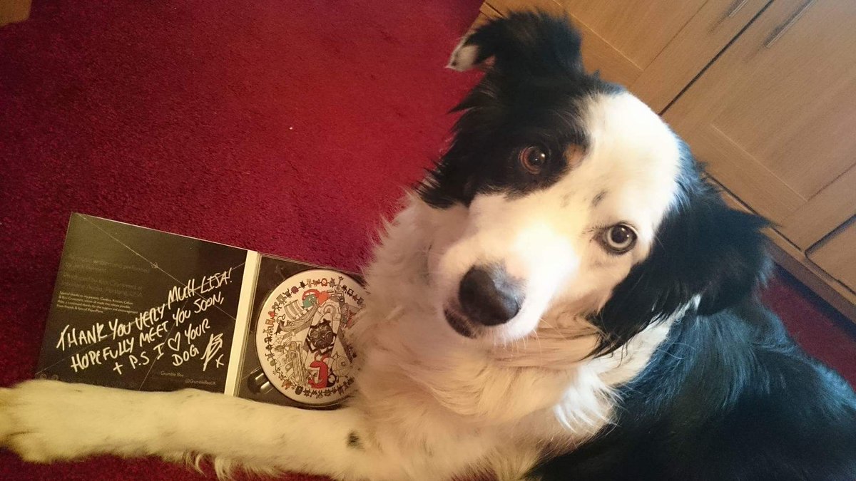 GrumbleBeeUK's tweet photo. Thank you very much @LeesaRobben - SALLY IS AWESOME 😄😍❤🐶 https://t.co/0aSgANcQio