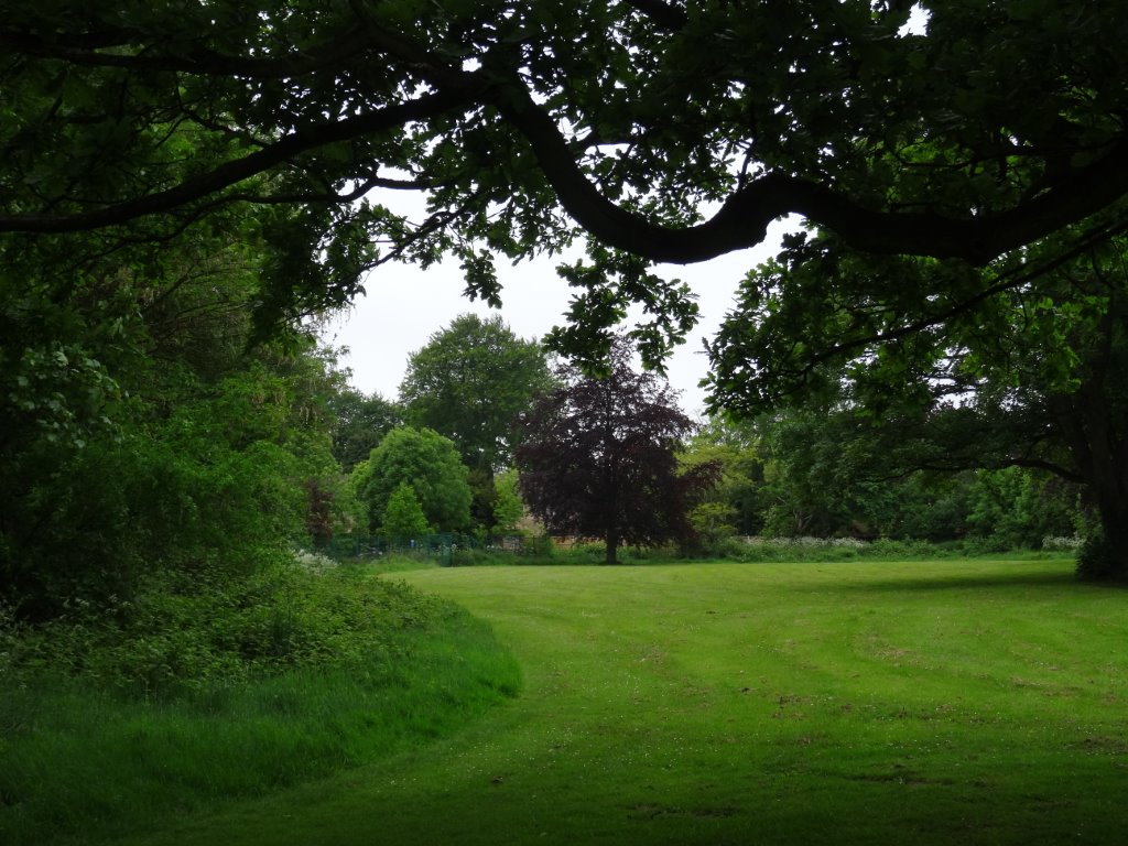 SAVEDORETREES's tweet photo. On Day 1 #30DaysWild although very breezy and cold it seems there was at least one new arrival in a nearby oak.. https://t.co/rFt0SsigAZ