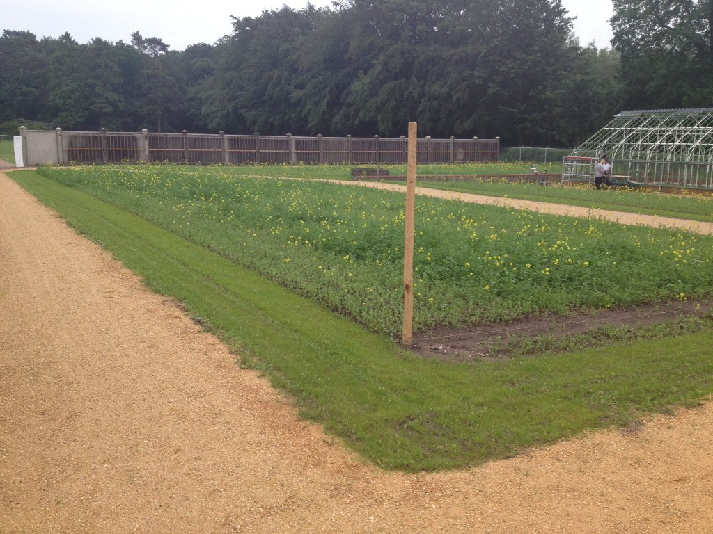 Bart van der Aa (@bosw8erbart) on Twitter photo Start met aanplant moestuin bij <a href="/Jachtslot/">Landgoed,Mookerheide</a> @Natuurmonument. Historische kassen ook bijna dicht met glas. Prachtig! Start met aanplant moestuin bij <a href="/Jachtslot/">Landgoed,Mookerheide</a> @Natuurmonument. Historische kassen ook bijna dicht met glas. Prachtig!