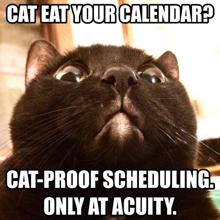 acuity's tweet image. Cat eat your calendar? 

Get Acuity! 

#Acuityscheduling #calendars #schedule