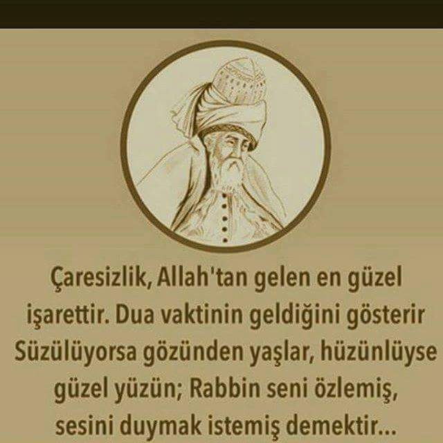 atar_gl's tweet photo. Sen hic caresiz KALDINMI ?? https://t.co/nKjrFcl83p