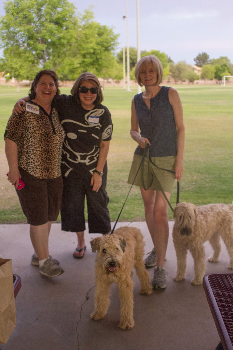 MitziEpstein's tweet photo. Lost dogs are loved in #WarnerRanch. Barb, Christy, Carlos & neighbors helping pets! @MaryaMahtini @humanevotersaz https://t.co/wwFOPx312M