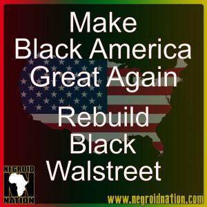 NegroidNation's tweet image. Make Black America Great Again! Vote for the President of the United State of Black ... - negroidnation.com/uncategorized/…